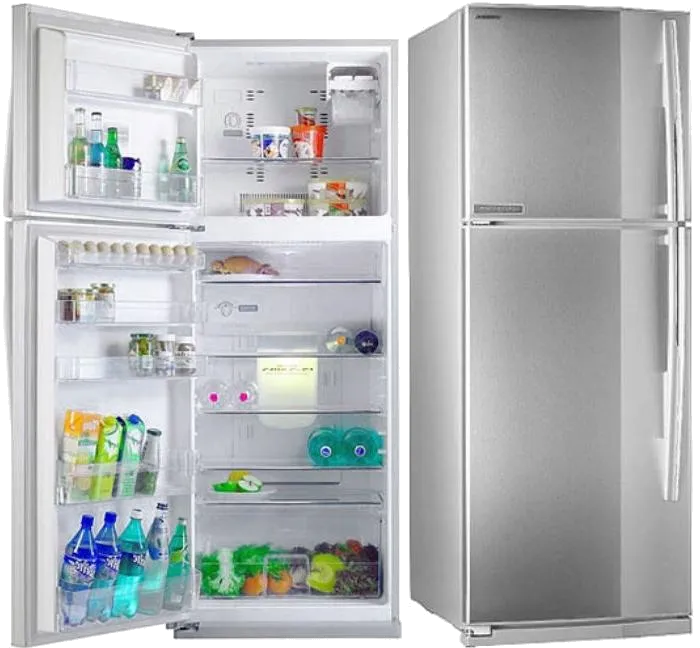 холодильник Toshiba GR M 59 TR TS