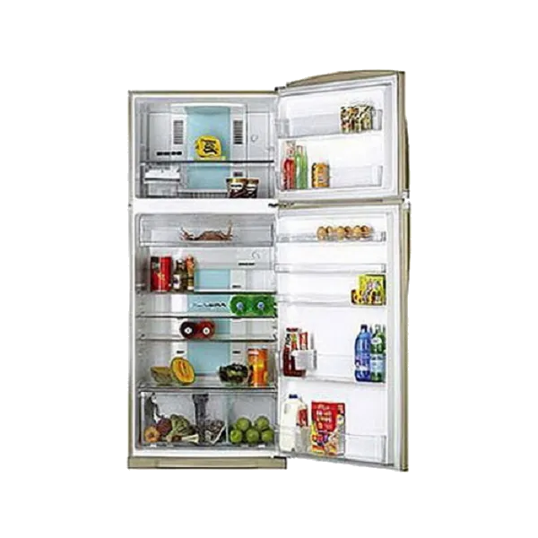 холодильник Toshiba GR-H 74 TR MC