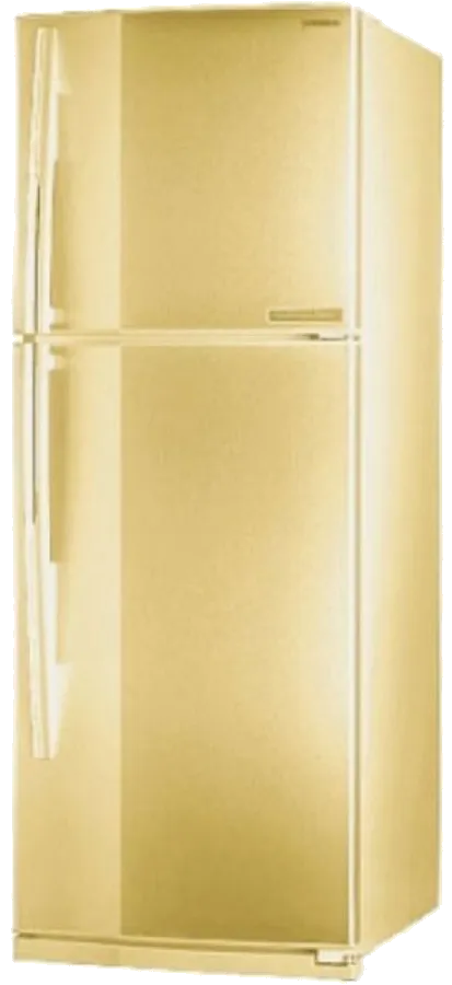 холодильник Toshiba GR-R47TR-CX