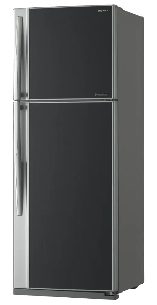 холодильник Toshiba GR-RG 59 RD